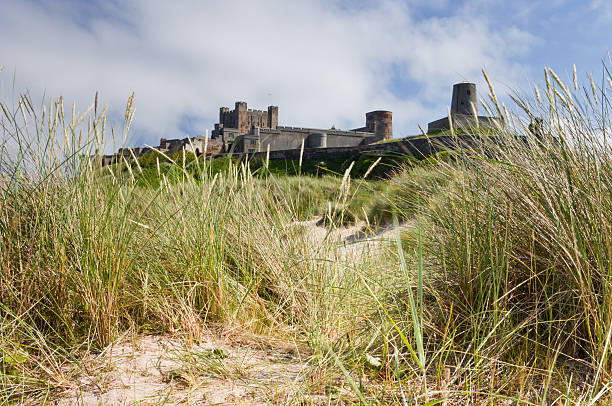 Bamburgh Castle viewed through grass from the dunes