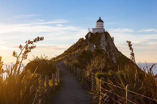 Nugget Point Lighthouse, Catlins, Otago, New Zealand