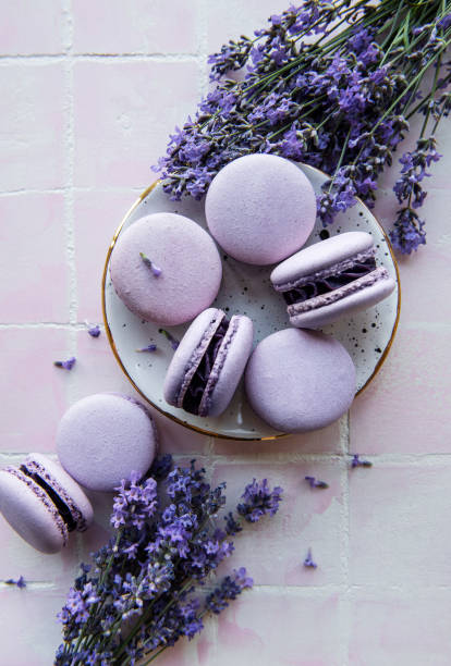 istock French macarons with lavender flavor and fresh lavender flowers 1335368849