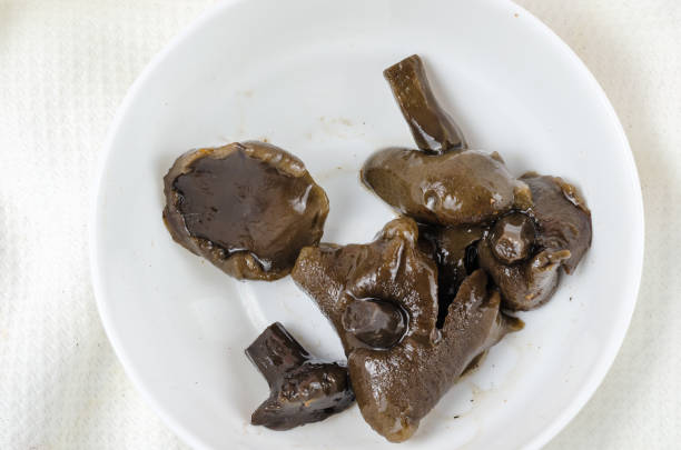 istock Unsuitable marinated mushrooms in a white ceramic bowl.Spoiled H 1335368956