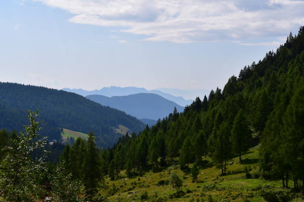 istock Beautiful landscape in Southtyrol with mountains behind 1335369853