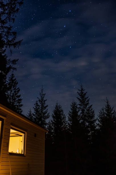 istock Starry sky with a shooting star near Hjo Sweden 1335375626
