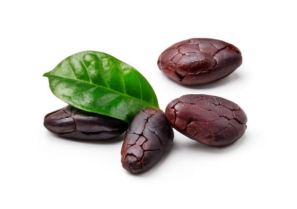 какао-бобы с листом какао, выделенным на белом - chocolate beans стоковые фото и изображения