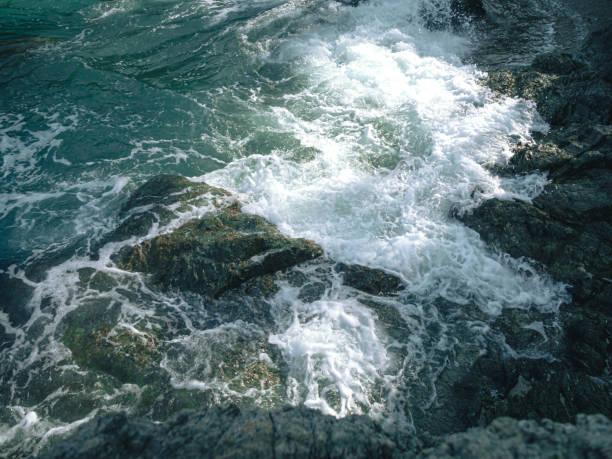 istock Tide wave on the rocky beach. 1335383828