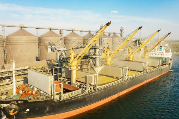 Loading grain into holds of sea cargo vessel through an automatic line in seaport from silos of grain storage. Bunkering of dry cargo ship with grain Loading grain into holds of sea cargo vessel through an automatic line in seaport from silos of grain storage. Bunkering of dry cargo ship with grain cereal plant stock pictures, royalty-free photos & images