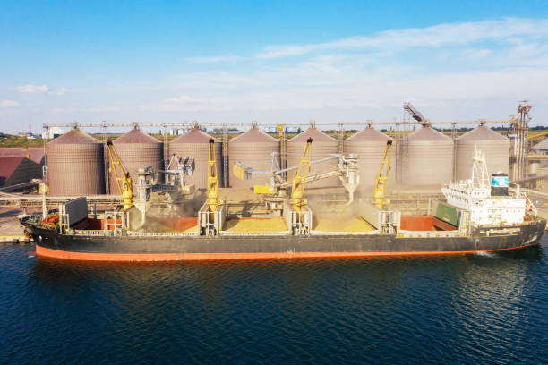 Carga de grano en bodegas de buques de carga marítima a través de una línea automática en el puerto marítimo desde silos de almacenamiento de granos. Bunkering de buque de carga seca con grano - foto de stock