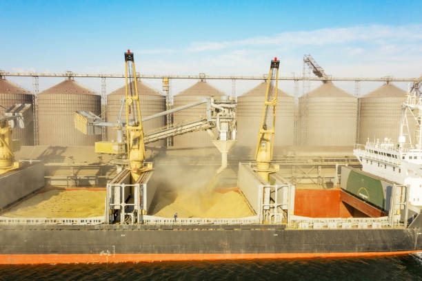 istock Loading grain into holds of sea cargo vessel through an automatic line in seaport from silos of grain storage. Bunkering of dry cargo ship with grain 1335385845