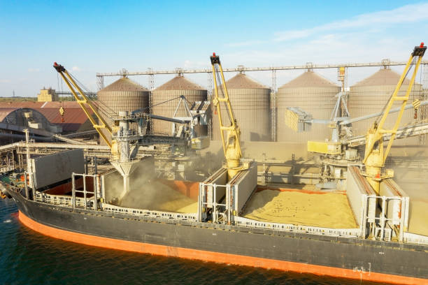 istock Loading grain into holds of sea cargo vessel through an automatic line in seaport from silos of grain storage. Bunkering of dry cargo ship with grain 1335385849