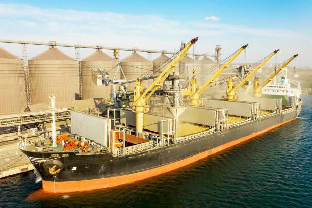 Carga de grano en bodegas de buques de carga marítima a través de una línea automática en el puerto marítimo desde silos de almacenamiento de granos. Bunkering de buque de carga seca con grano - foto de stock