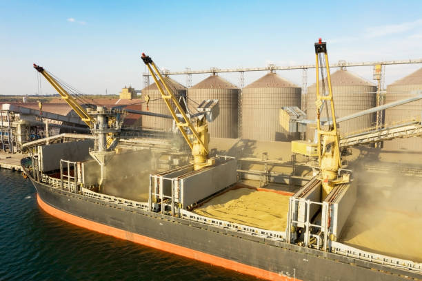 istock Loading grain into holds of sea cargo vessel through an automatic line in seaport from silos of grain storage. Bunkering of dry cargo ship with grain 1335385894