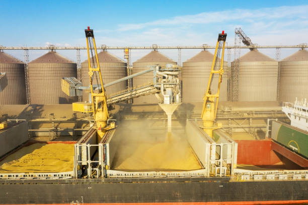 istock Loading grain into holds of sea cargo vessel through an automatic line in seaport from silos of grain storage. Bunkering of dry cargo ship with grain 1335385900