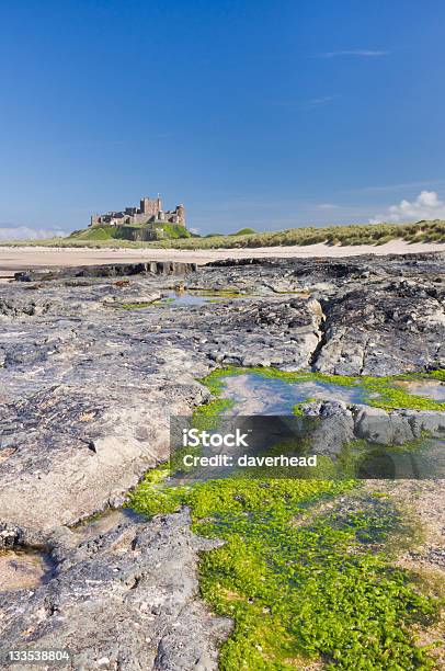 Castello Di Bamburgh - Fotografie stock e altre immagini di Castello di Bamburgh - Castello di Bamburgh, Alga marina, Ambientazione esterna