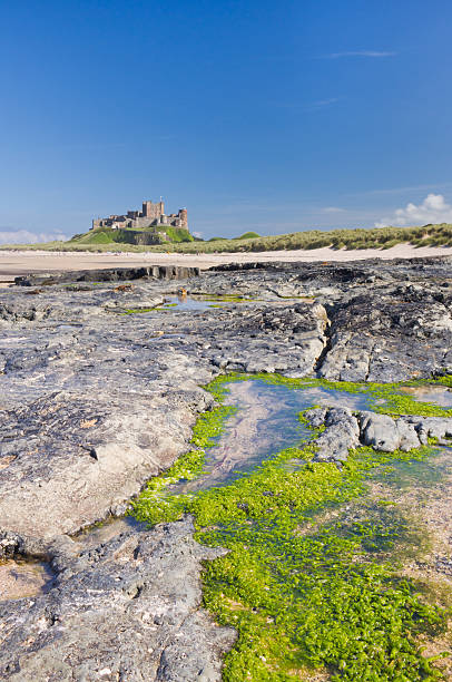 замок бамбург - bamburgh стоковые фото и изображения