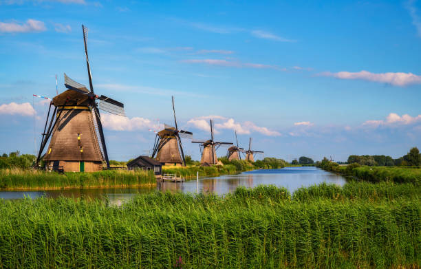 istock Historic windmills and a river flowing by in Kinderdijk, Netherlands 1335388077