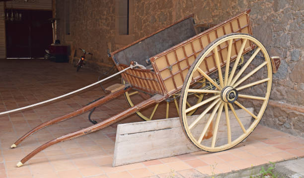 Red cart is parking in meadow, at evening