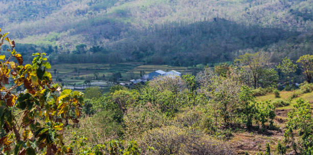 istock The house can be seen from a short distance 1335392500