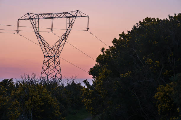 Early morning view of power lines with electricity transmission pylon against epic purple sunrise sky in Ticknock Forest National Park, County Dublin, Ireland stock photo