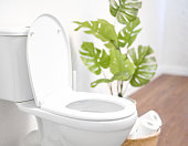 istock Modern toilet, great design for any purposes. Ceramic toilet bowl with toilet paper near light wall 1335393109