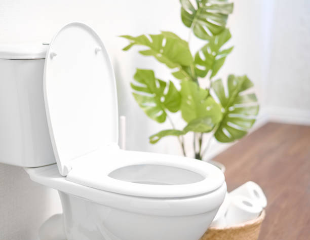Modern toilet, great design for any purposes. Ceramic toilet bowl with toilet paper near light wall stock photo