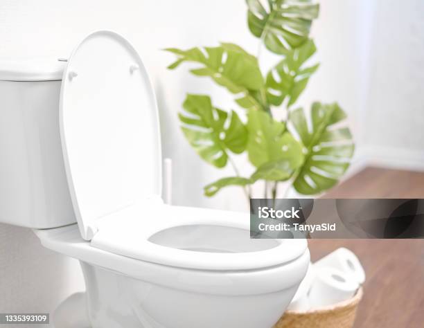 Modern Toilet Great Design For Any Purposes Ceramic Toilet Bowl With Toilet Paper Near Light Wall Stock Photo - Download Image Now