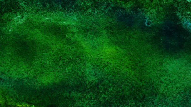 istock Dark green abstract background. Watercolor. Grunge background with copy space for design. 1335393977