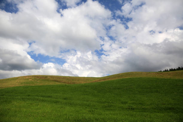 istock green field and cloudy sky 1335394179