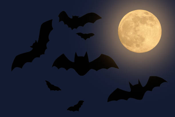 istock halloween spooky background with bats and full moon 1335394755