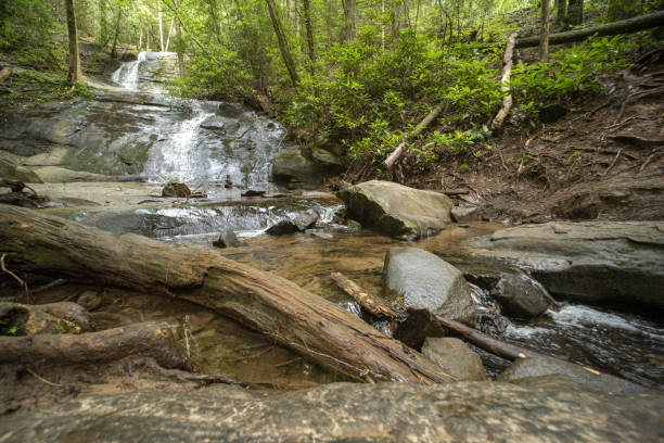 istock Flowing water on sloping waterfall face with large log and boulders at base 1335395719