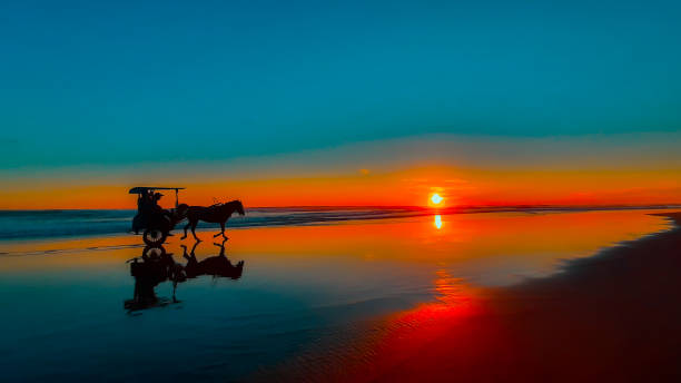 Horse drawn carriage on sand beach A silhouetted horse-drawn carriage at sunset time on the wet and reflecting sand beach at Parangtritis on Java in Indonesia. romantic sky stock pictures, royalty-free photos & images