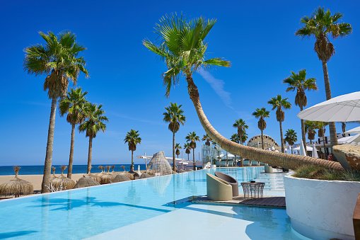 3D render of a pool area surrounded by tropical vegetation