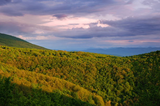 istock Colorful sunset clouds above Vidlic mountain, Serbia 1335408692