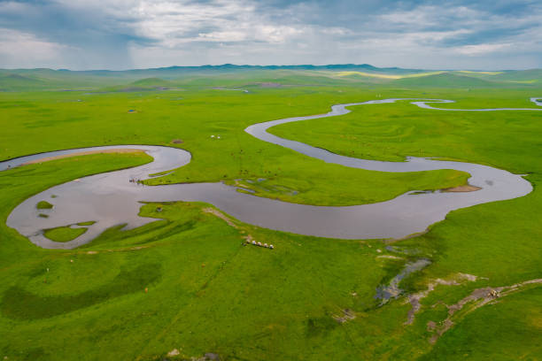 istock Hulun Buir grassland 1335408887