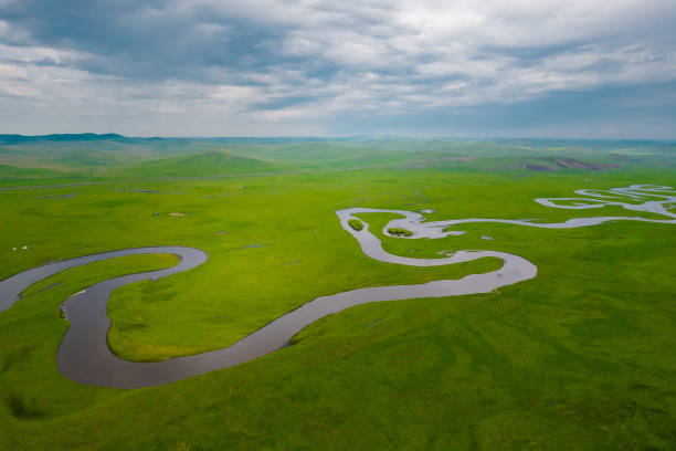istock Hulun Buir grassland 1335408923