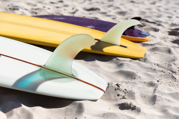 istock Line up of surfboards on the sand 1335409854