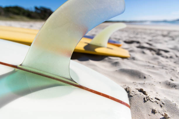 istock Line up of surfboards on the sand 1335409855