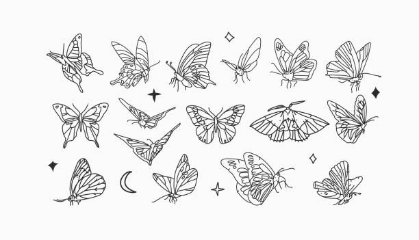 Hand drawn vector abstract stock flat graphic illustrations collection set bundle with logo elements,bohemian magic line art of mystic flying butterfly and moth,feminine simple style for branding Hand drawn vector abstract stock flat graphic illustrations collection set bundle with logo elements,bohemian magic line art of mystic flying butterfly and moth,feminine simple style for branding. butterfly wing patterns stock illustrations
