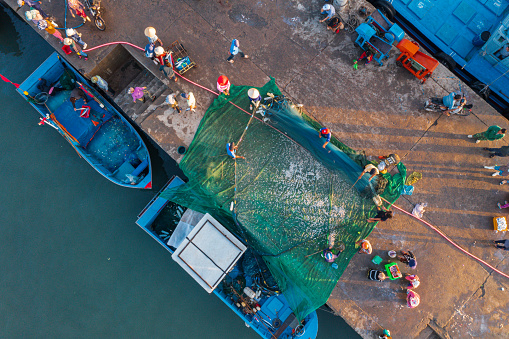Drone view of collecting fishes on the wharves of My Tan fishing village, Ninh Thuan province, central Vietnam