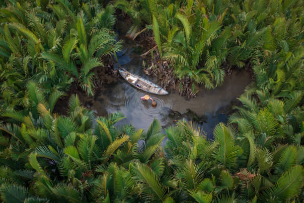 istock Catching fish in nipa palm jungle 1335414983