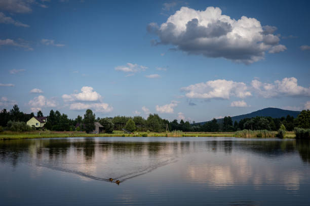 spokojny widok na jezioro, góry świętokrzyskie, polska. - cumulus cloud lake water forest zdjęcia i obrazy z banku zdjęć