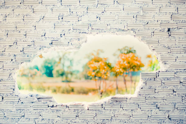 istock texture of old dirty wall for background 1335417056