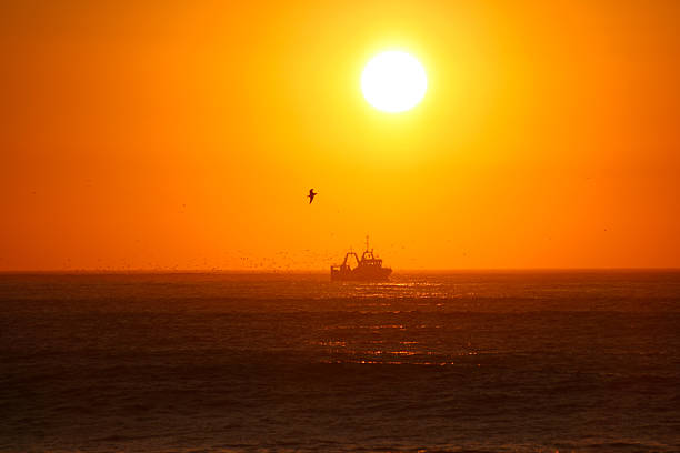 Boat at Sunset stock photo