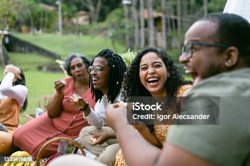 istock Smiling friends at the picnic 1335419818