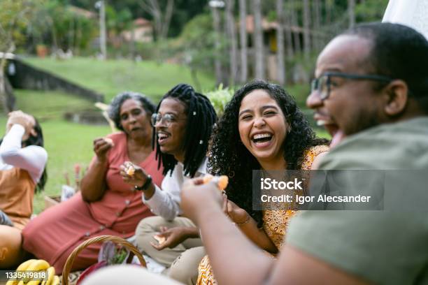 Smiling Friends At The Picnic Stock Photo - Download Image Now - Family, Picnic, Friendship