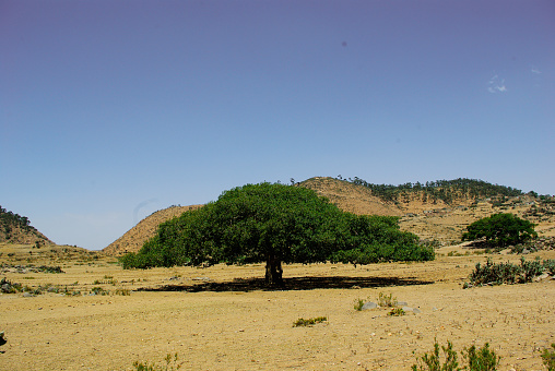 Keren, Eritrea - July 15, 2021: Travelling around the vilages near Asmara and Massawa. An amazing caption of the trees, mountains and some old typical houses with very hot climate in Eritrea.