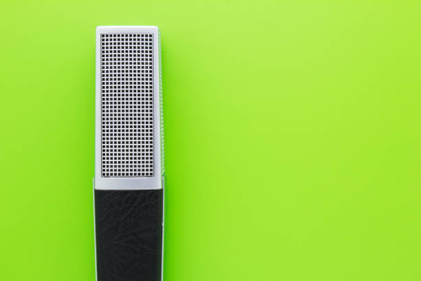 istock Professional vocal retro microphone on green background with copy space for text. 1335421485