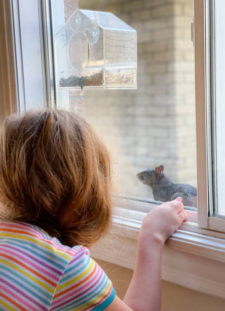 istock Little girl with her squirrel friend 1335421625