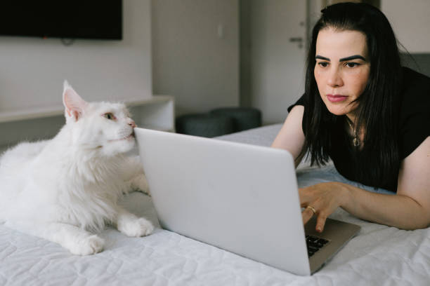 istock Cat scratching face on laptop in bed 1335421716