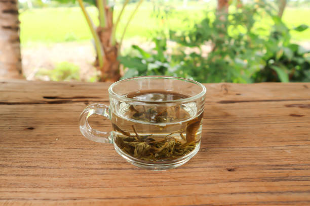 té, té caliente o té de jazmín - tea jasmine jasmine tea chinese tea fotografías e imágenes de stock