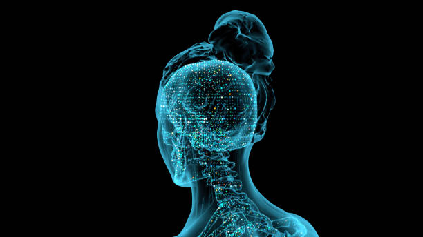istock Visualized 3D models of the female human body, as well as the human skeleton in X-rays using modern digital X-ray equipment. 1335424634