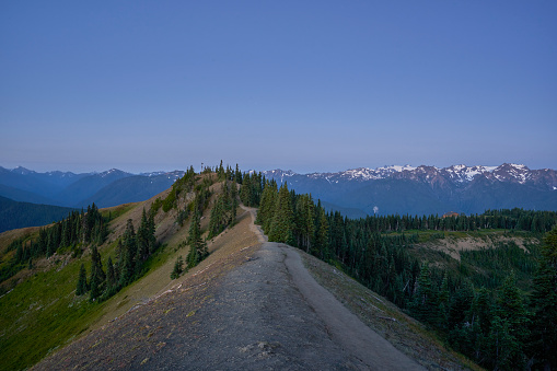 Mount Olympus at Sunrise in the Beautiful Olympic National Park in Western Washington State USA.